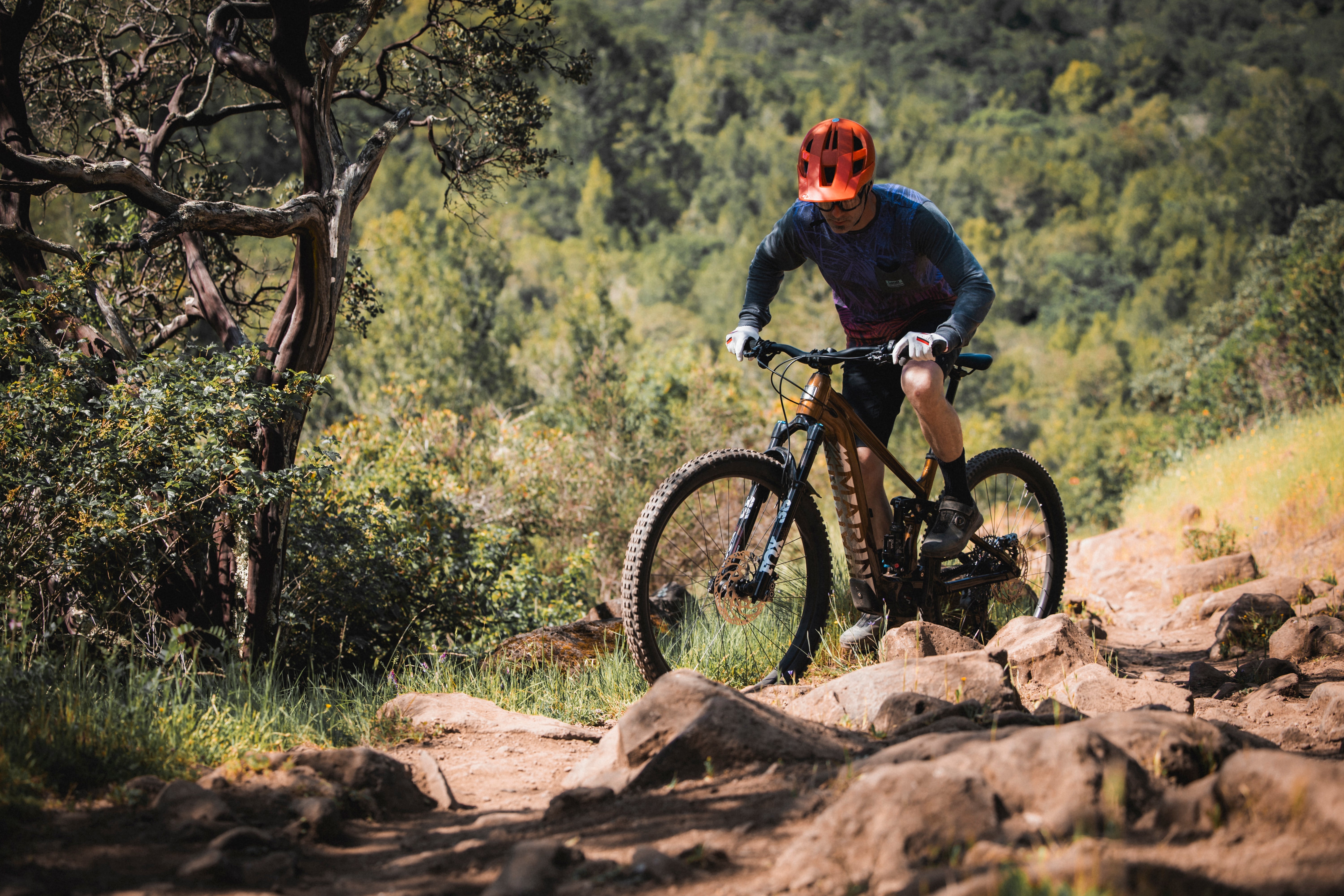 www.marinbikes.com