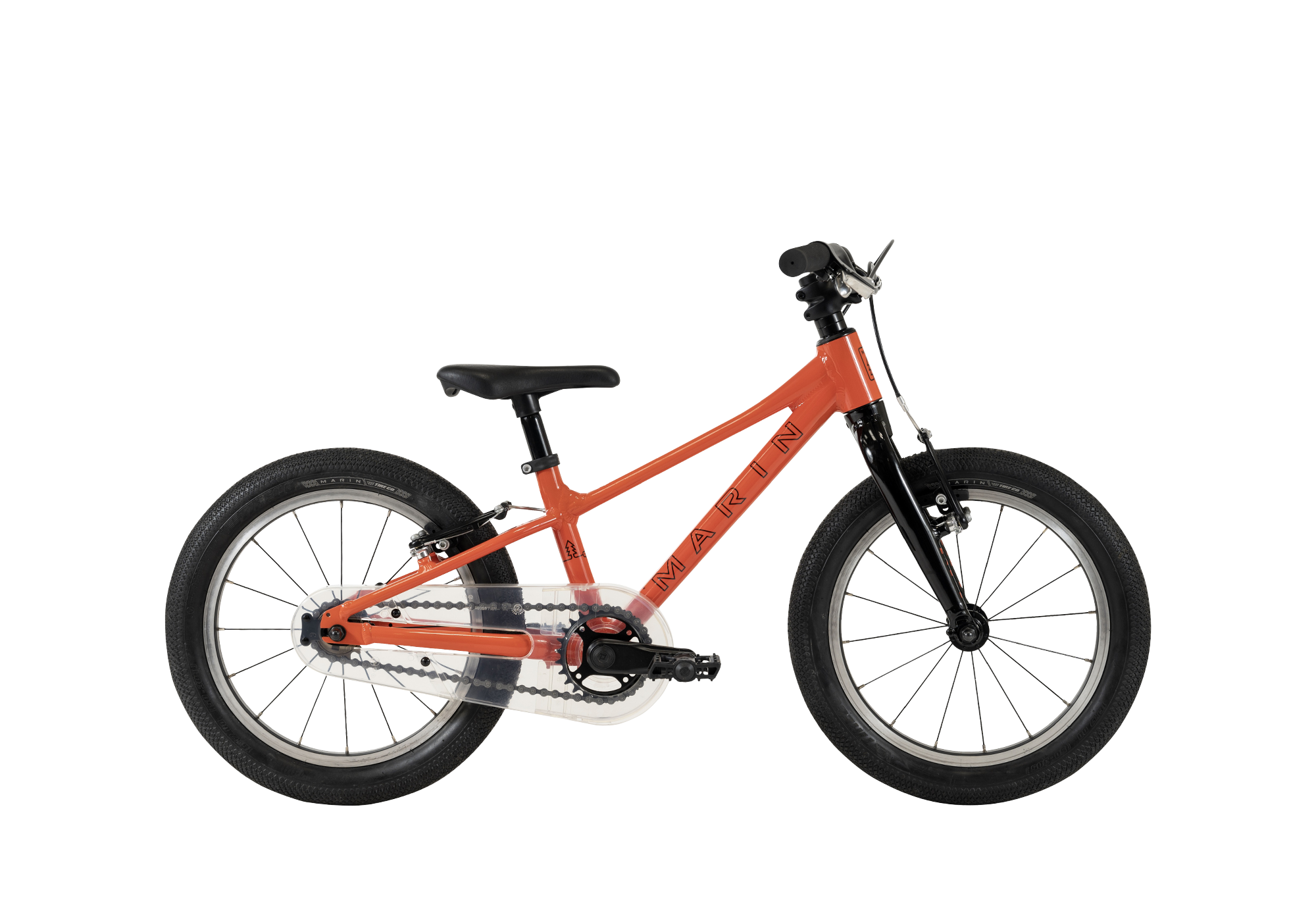 Marin Coast Trail 16