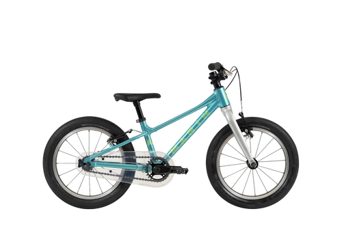 Marin Coast Trail 16