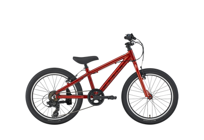 Marin Donkey Junior 20