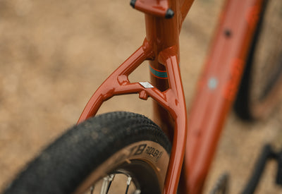 Marin DSX seat stays detail