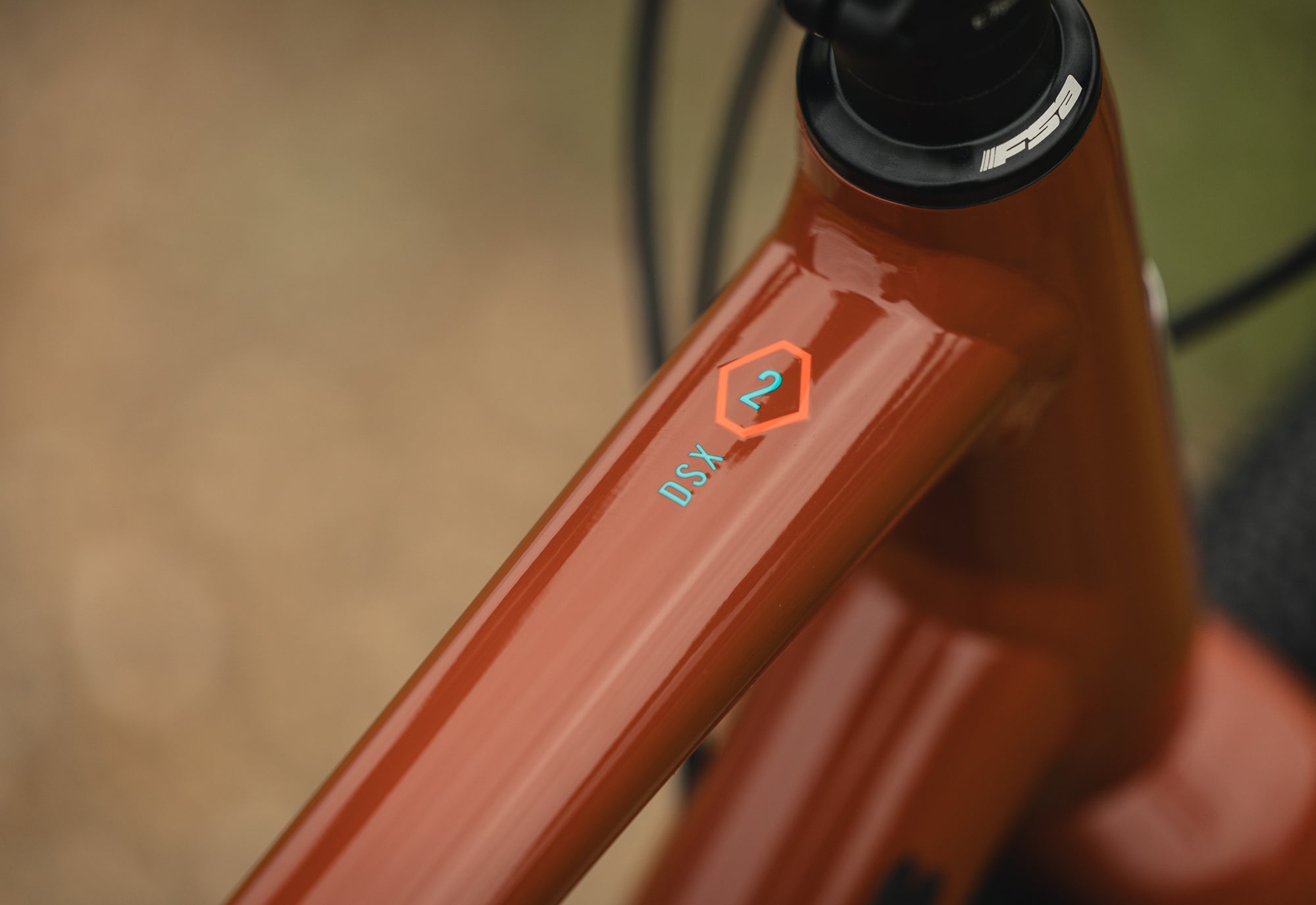 2025.1 DSX – Marin Bikes