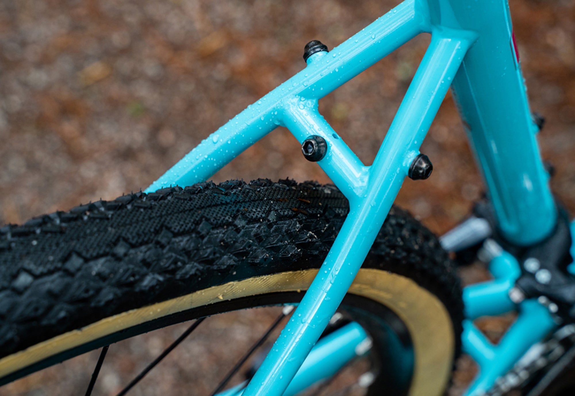 Marin Four Corners 1 seat stay detail