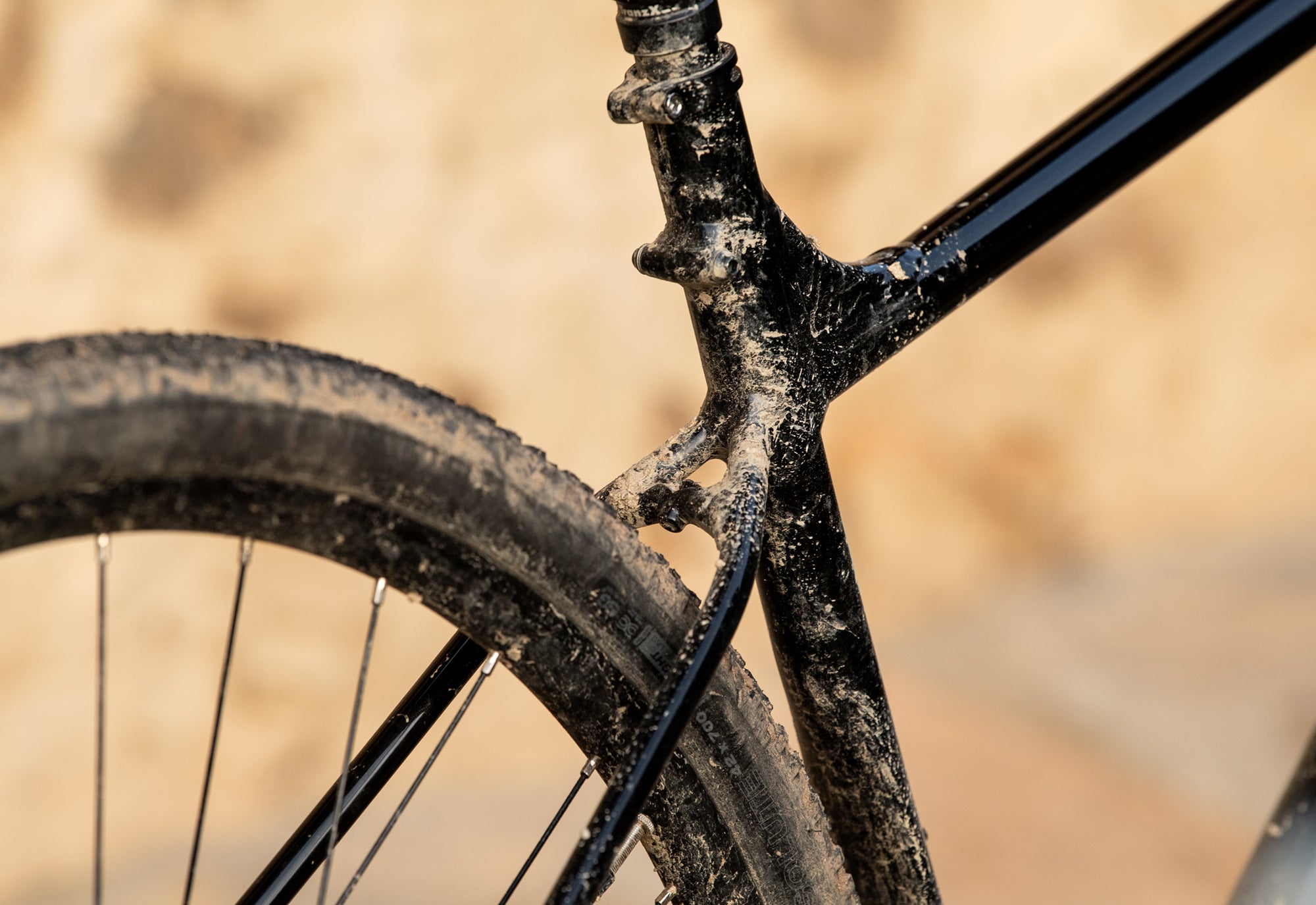 GESTALT XR