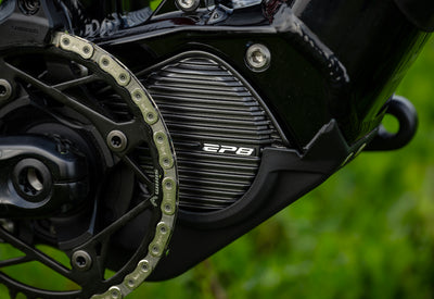 Marin Rift Zone E motor detail