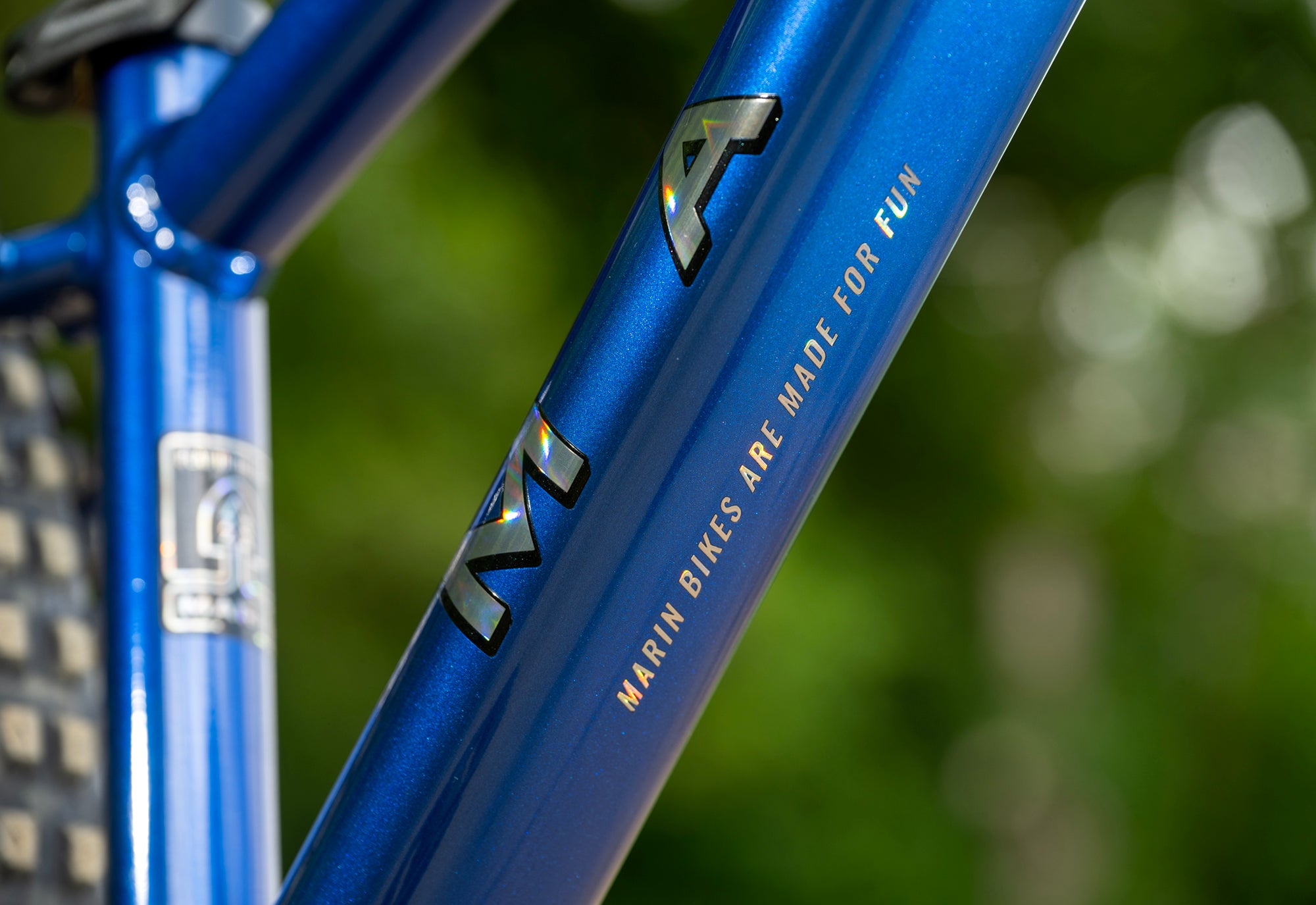 Marin San Quentin 20 24 frame detail