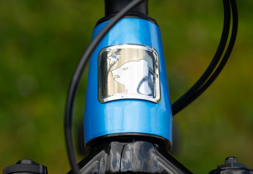 Marin San Quentin 20 24 head tube badge detail