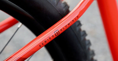 Marin San Quentin 24 seatstay detail.