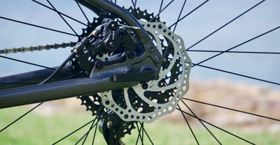 Marin Stinson 2 dropout.