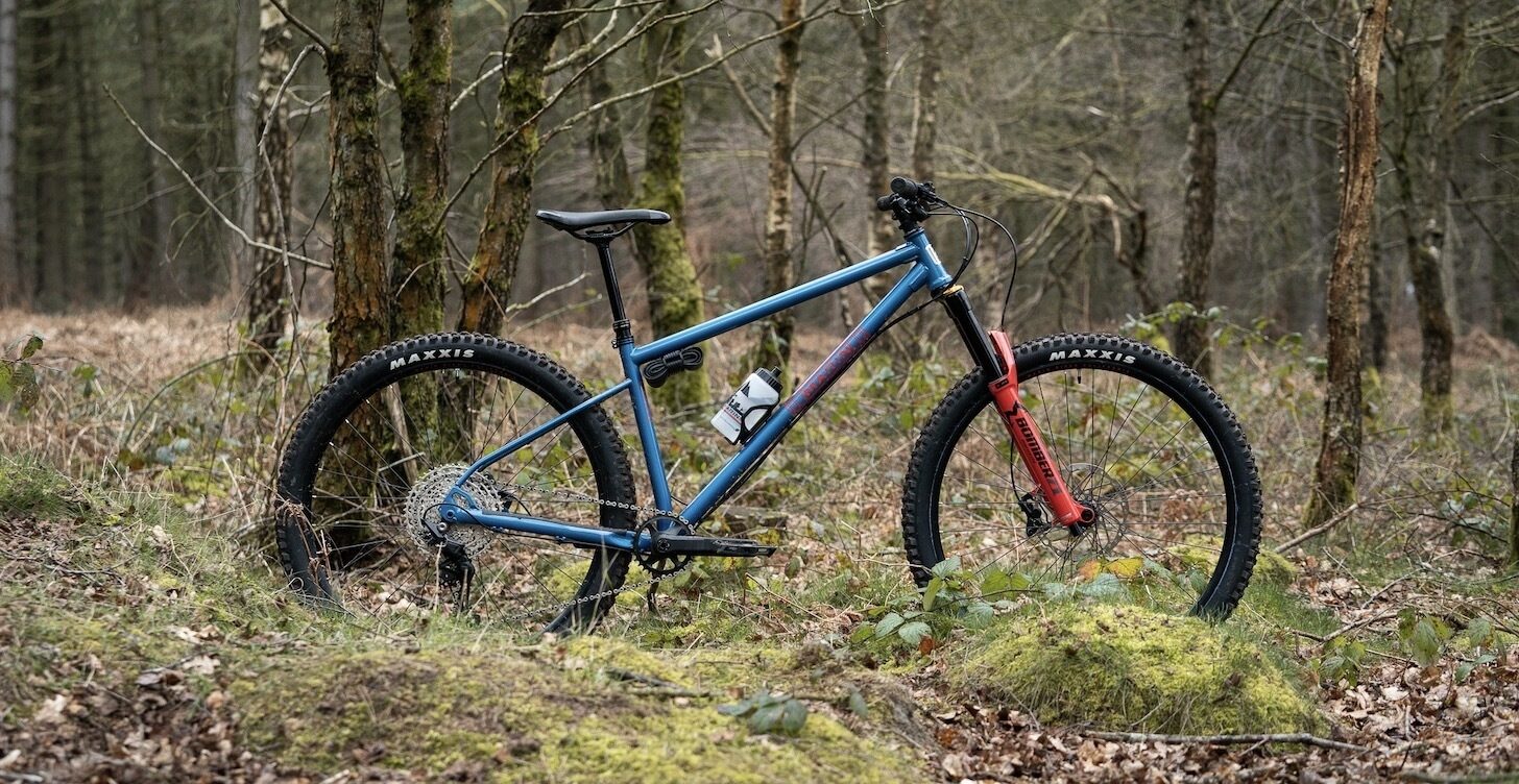 El Roy leaning up against a tree in the forest.