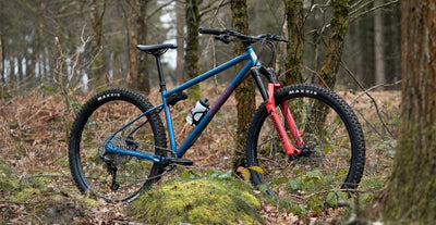 El Roy front 3/4, in a forest.