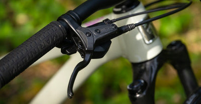 San Quentin 24" brake lever detail.