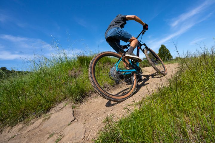 BOBCAT TRAIL 5 – Marin Bikes
