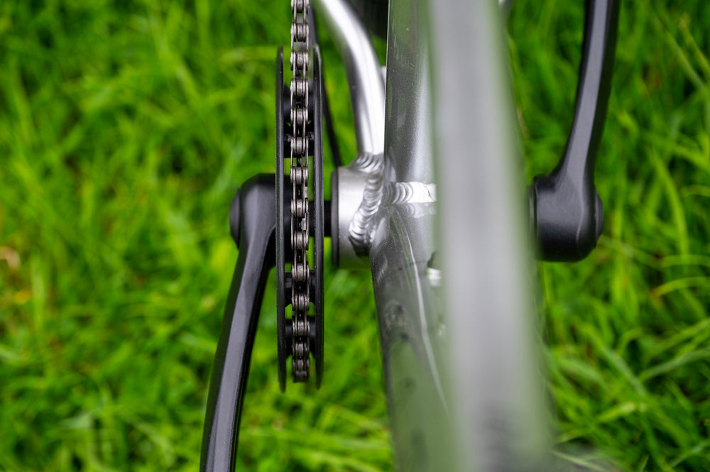 Close-up of a bicycle crankset with a black chainring and chain, attached to a silver frame, set against a blurred green grass background.