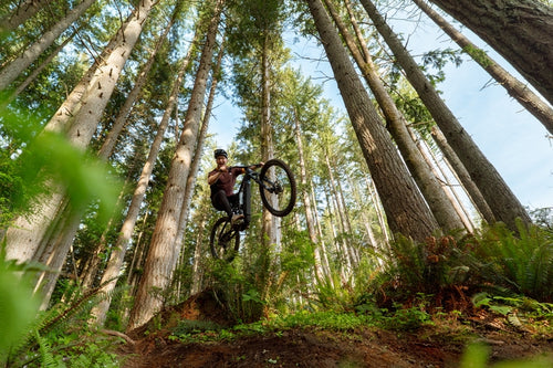 2026 Alpine Trail E2 (INT)
