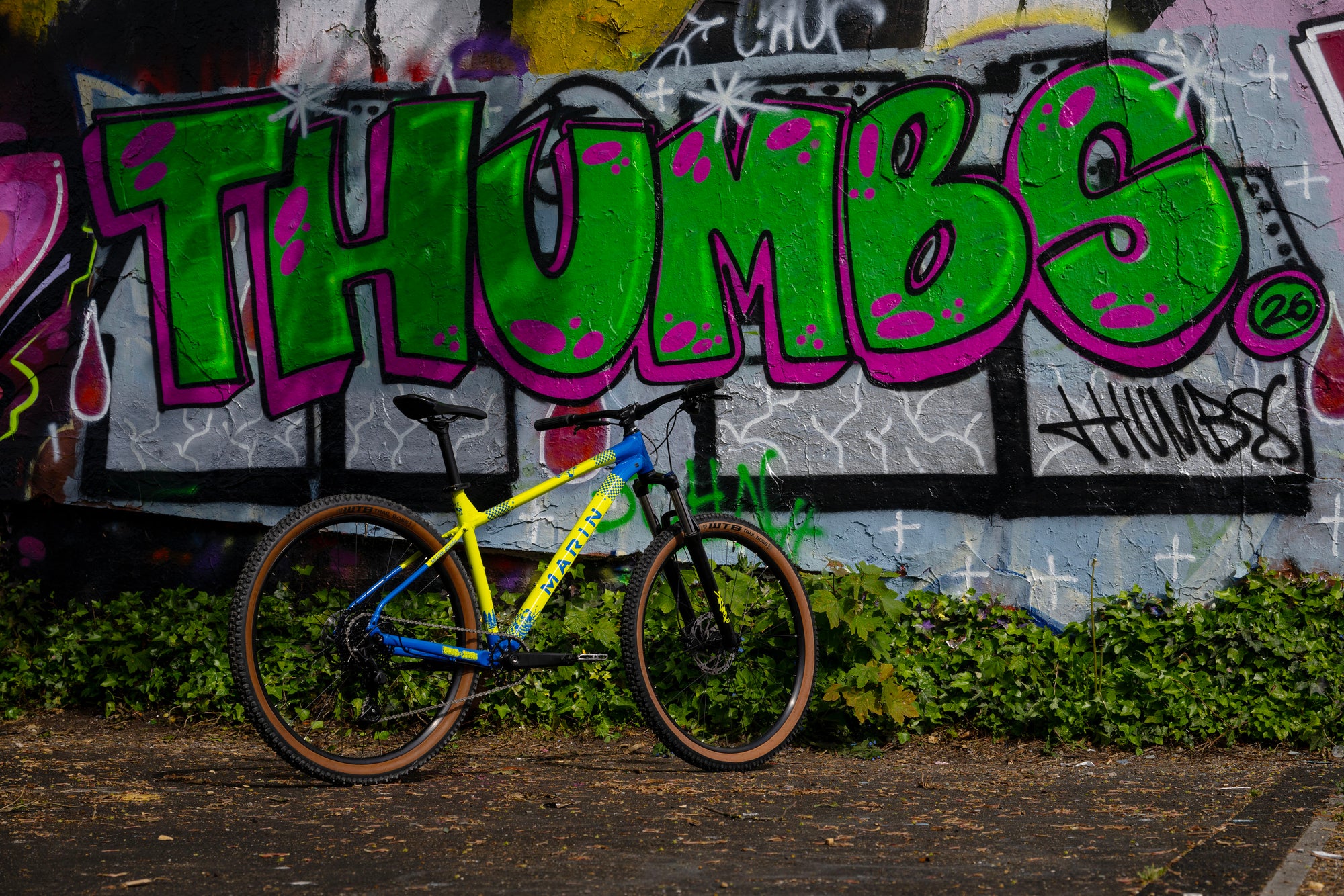 2026 BOBCAT TRAIL 3 - ARTIST EDITION: THUMBS