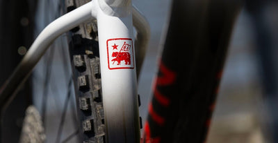 An image of a Marin Bikes mountain bike seat tube with a Marin logo