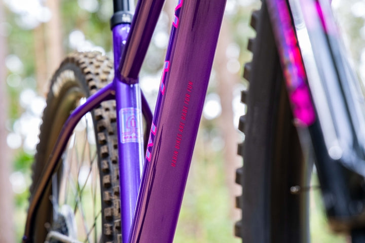 Close-up of a purple bicycle frame with blurred natural background