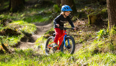 A child wearing a blue helmet, black long-sleeve top, and red pants rides a red and blue mountain bike on a dirt trail in a sunlit forest.