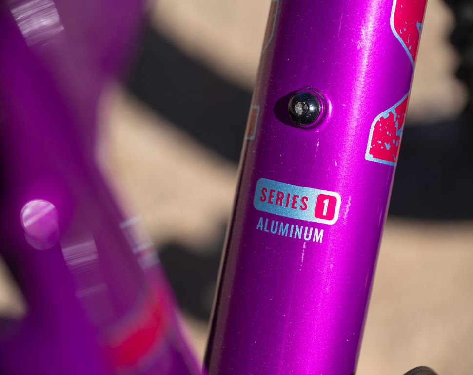 Close-up of a metallic purple bicycle frame tube with a small oval badge reading 'SERIES 1 ALUMINUM' and part of a red-and-white graphic near the top.