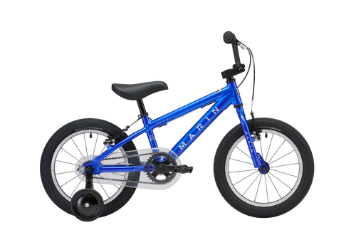 Donky Jr 16 profile image in blue