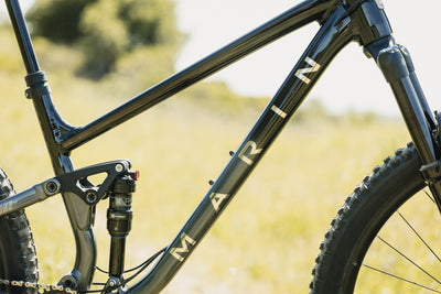 Marin Rift Zone 1 frame detail