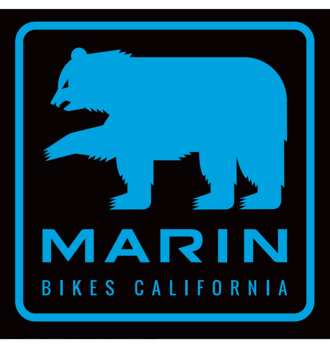 oso blue bear on black