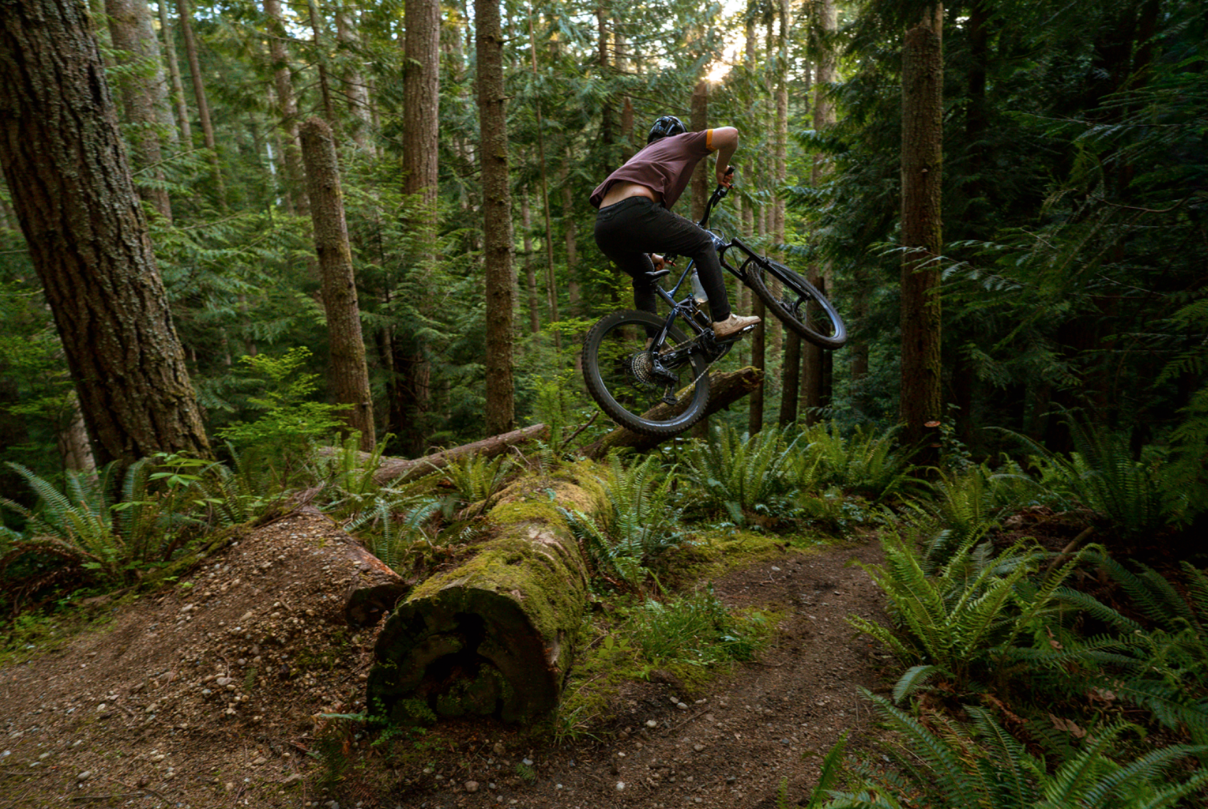 Person riding a mountain bike through a forest, jumping over a log.