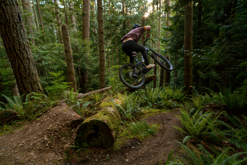 Person riding a mountain bike through a forest, jumping over a log.