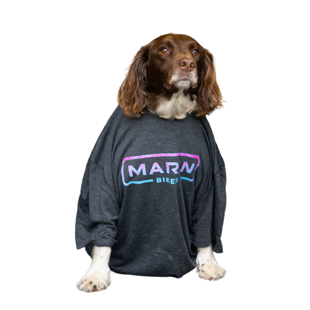 Mark Matthews thumbnail image