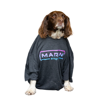 Mark Matthews thumbnail image