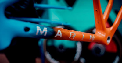 Marin Headlands frame kit downtube detail.